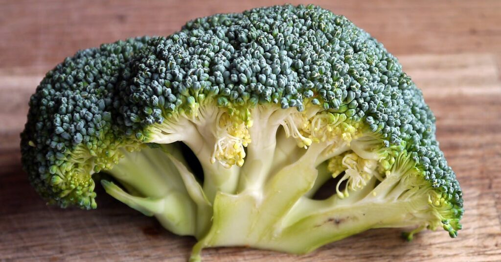 Fresh green broccoli close-up on a wooden cutting board, highlighting its texture.