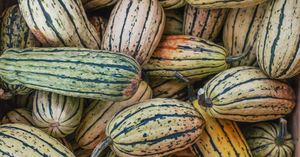 Close-up of fresh delicata squashes showcasing texture and fall colors.