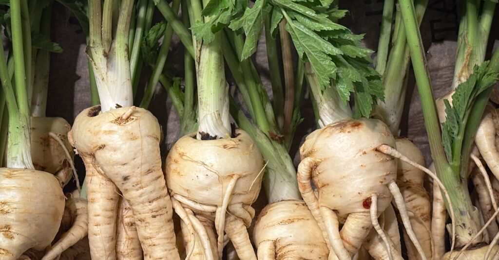 Close-up of fresh parsnips with leafy green tops, showcasing organic produce at a market.