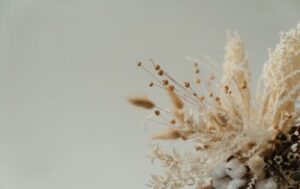 Aesthetic still life composition featuring a variety of dried flowers and cotton buds.