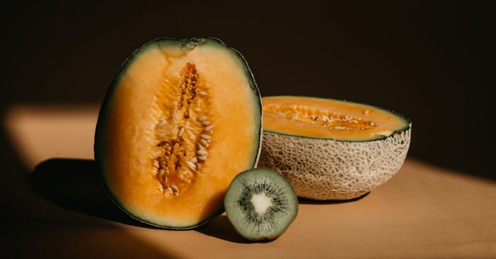 Close-up of sliced melon and kiwi fruit with dramatic play of light and shadow.