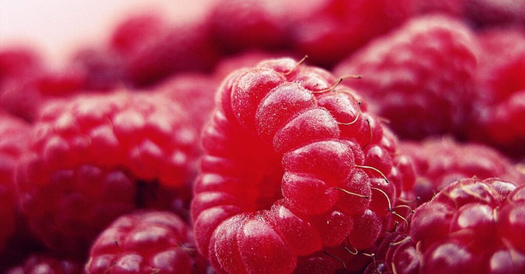 Detailed close-up of fresh, vibrant, and ripe raspberries, showcasing their delicious texture and vivid color.