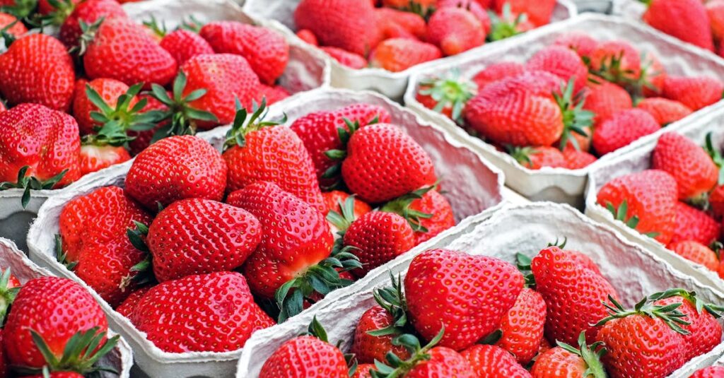 Vibrant red strawberries arranged in cartons showcasing freshness.